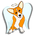 corgi angel